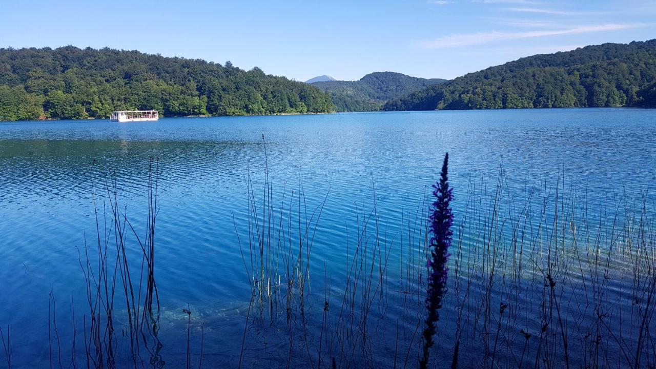 B&B Plitvice Lakes Villa Prica Plitvica selo Exteriör bild