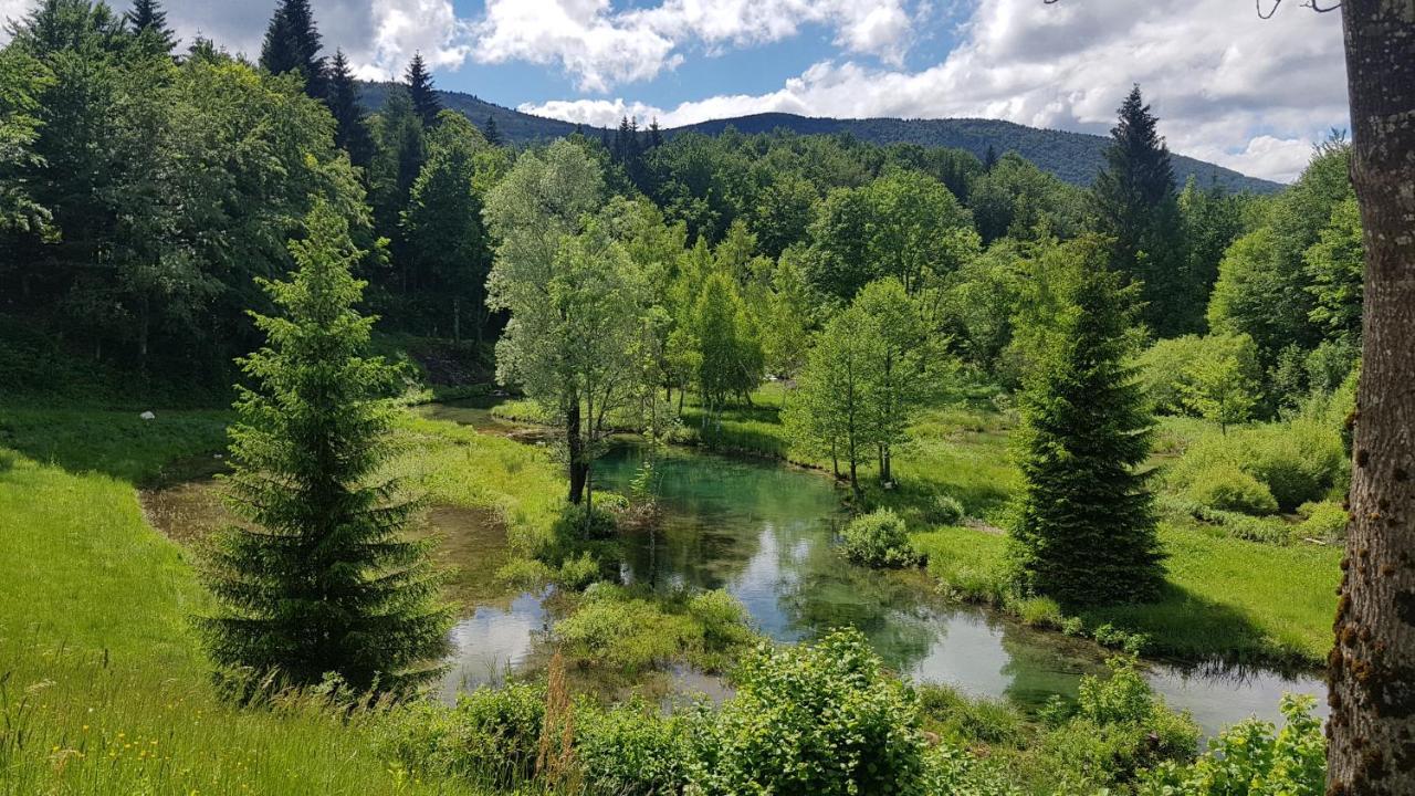 B&B Plitvice Lakes Villa Prica Plitvica selo Exteriör bild