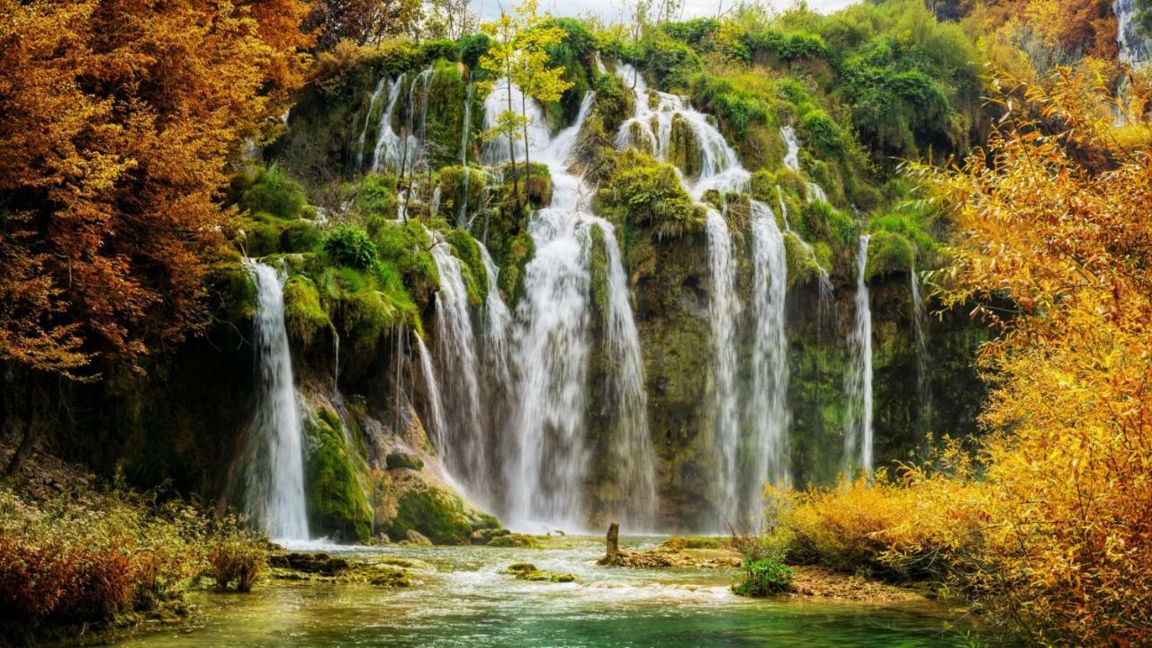 B&B Plitvice Lakes Villa Prica Plitvica selo Exteriör bild