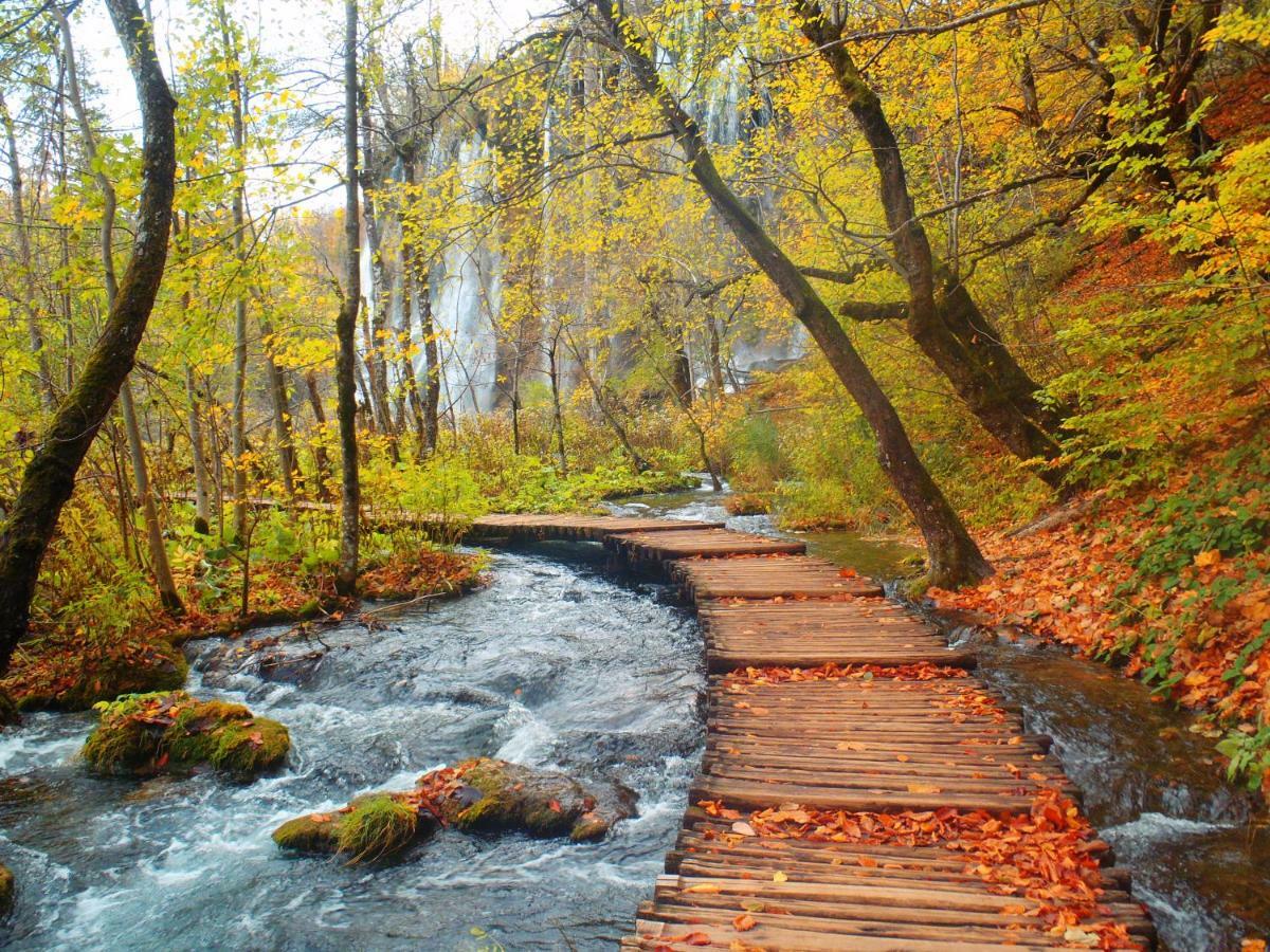 B&B Plitvice Lakes Villa Prica Plitvica selo Exteriör bild